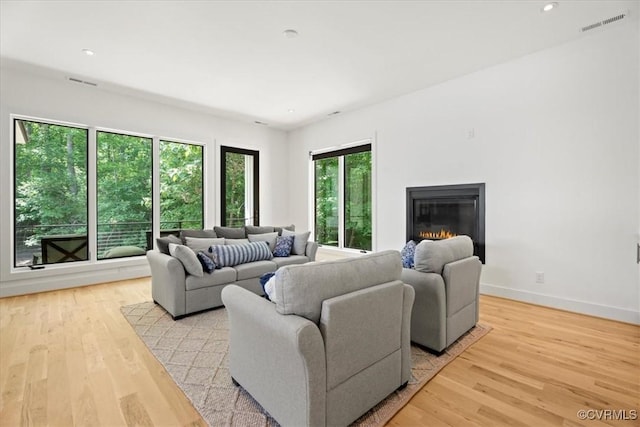 1665 Wilton Creek Rd, Hartfield, VA 23071 - living area featuring a glass covered fireplace, light wood-style floors, recessed lighting, and baseboards