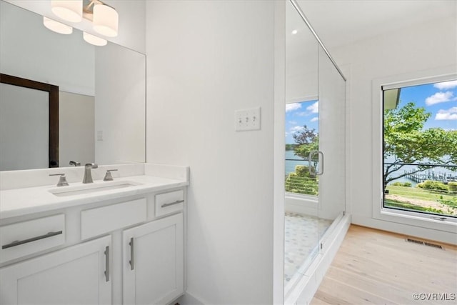 1665 Wilton Creek Rd, Hartfield, VA 23071 - bathroom featuring vanity, plenty of natural light, wood finished floors, and a walk in shower