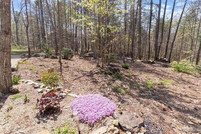41 Pine Shadow Ct, Troy, VA 22974 - view of yard featuring a view of trees