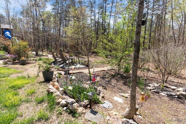 41 Pine Shadow Ct, Troy, VA 22974 - view of yard