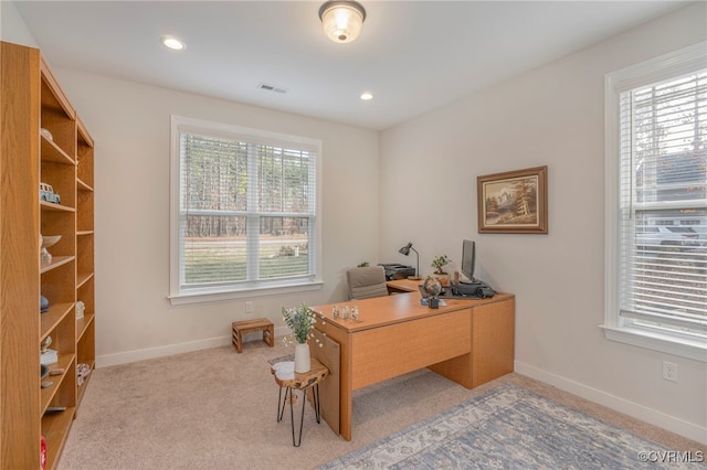 41 Pine Shadow Ct, Troy, VA 22974 - home office with carpet floors, baseboards, and recessed lighting