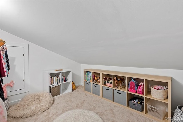 13700 Harbourwood Rd, Midlothian, VA 23112 - rec room featuring lofted ceiling and carpet