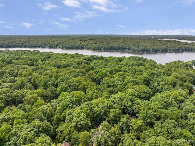 13700 Harbourwood Rd, Midlothian, VA 23112 - drone / aerial view of a forest and a nearby body of water