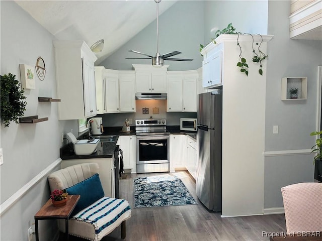 kitchen with appliances with stainless steel finishes, under cabinet range hood, a sink, dark countertops, and ceiling fan