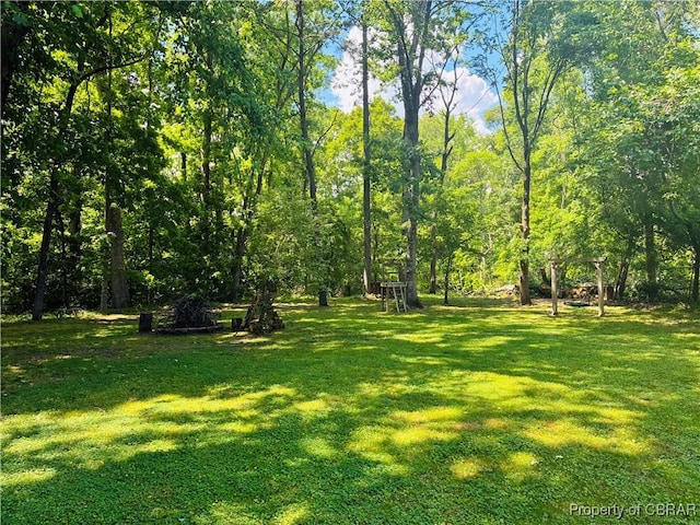 view of green lawn
