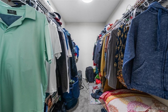 15119 Winding Ash Dr, Chesterfield, VA 23832 - walk in closet with carpet