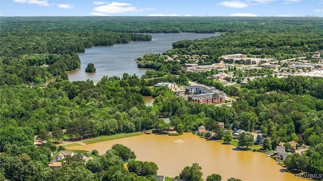 15119 Winding Ash Dr, Chesterfield, VA 23832 - bird's eye view of a forest and a large body of water