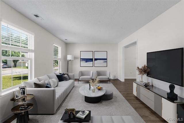 15119 Winding Ash Dr, Chesterfield, VA 23832 - living room with a textured ceiling, dark wood-style floors, and healthy amount of natural light