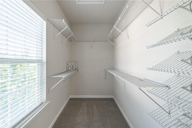 521 Siena Ln, Henrico, VA 23059 - walk in closet featuring carpet