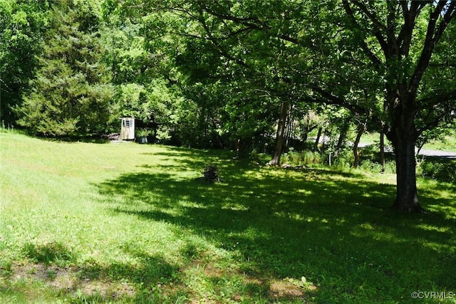 1006 N Main St, Farmville, VA 23901 - view of grassy yard