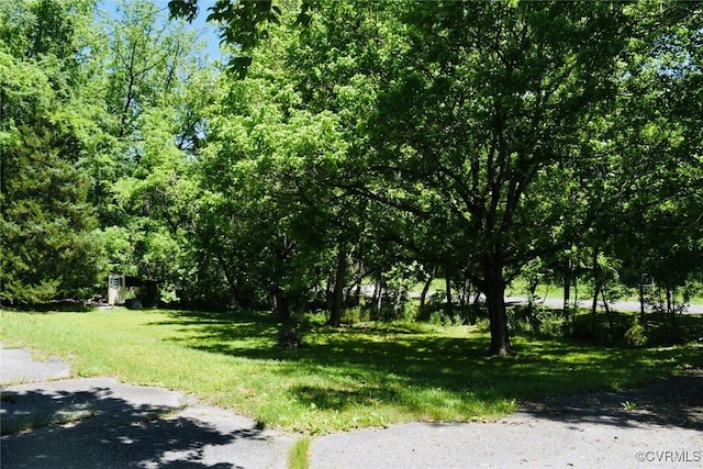 1006 N Main St, Farmville, VA 23901 - view of green lawn