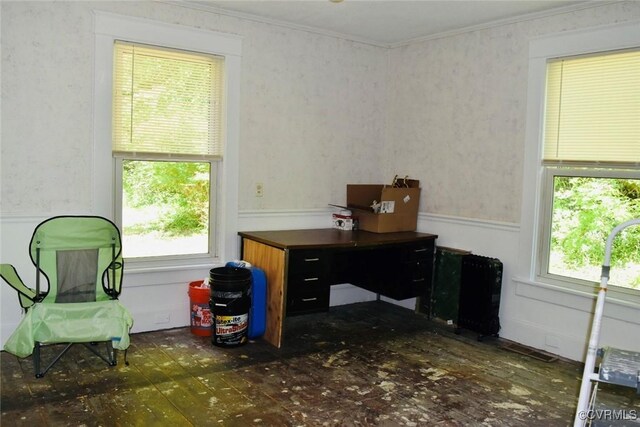 1006 N Main St, Farmville, VA 23901 - office with healthy amount of natural light, wainscoting, and crown molding