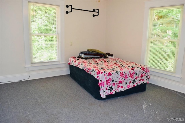 1006 N Main St, Farmville, VA 23901 - bedroom featuring carpet and baseboards