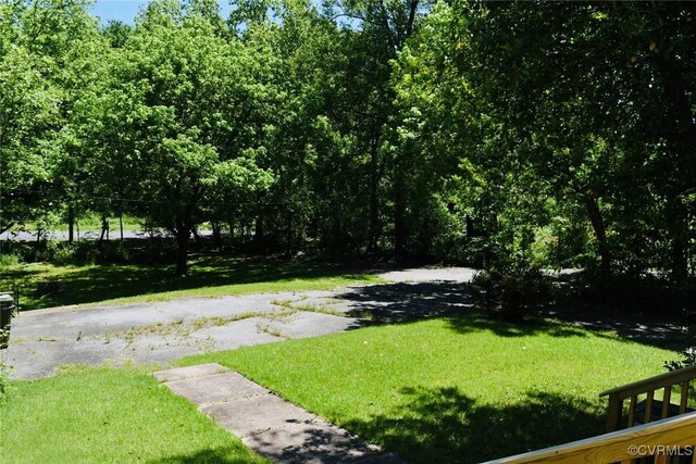 1006 N Main St, Farmville, VA 23901 - view of green lawn