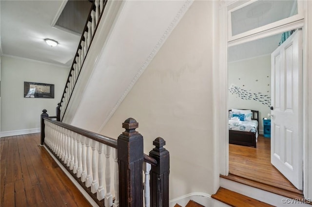 102 Market St, Onancock, VA 23417 - staircase with hardwood / wood-style floors, baseboards, and crown molding
