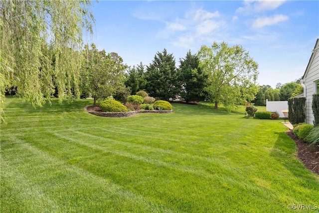 9428 Berry Patch Ln, Mechanicsville, VA 23116 - view of green lawn