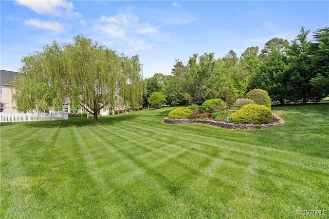 9428 Berry Patch Ln, Mechanicsville, VA 23116 - view of yard