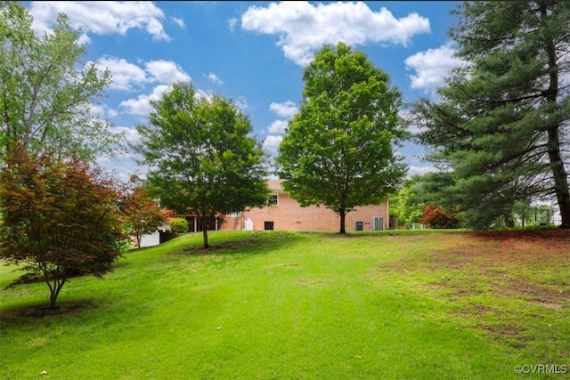 5401 Carteret Rd, Chesterfield, VA 23832 - view of green lawn