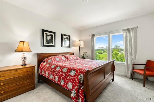 3700 Maze Runner Dr Unit 204, Midlothian, VA 23112 - bedroom with light carpet and baseboards