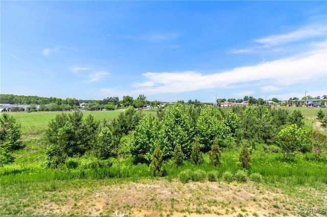 3700 Maze Runner Dr Unit 204, Midlothian, VA 23112 - view of local wilderness