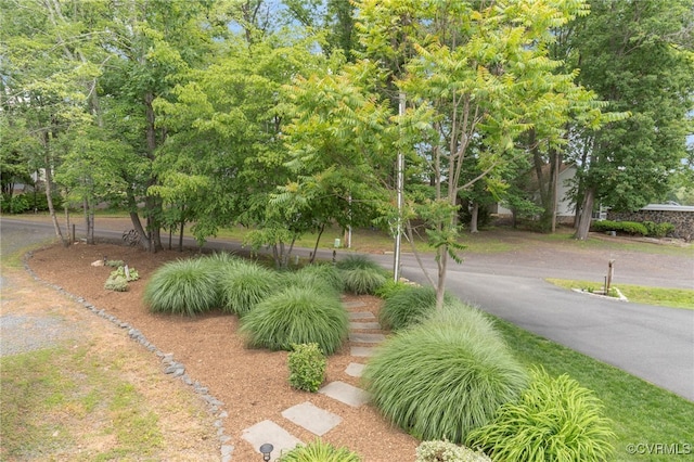 104 Manassas Pt, Locust Grove, VA 22508 - photo 37