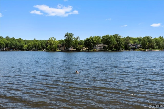 104 Manassas Pt, Locust Grove, VA 22508 - photo 41