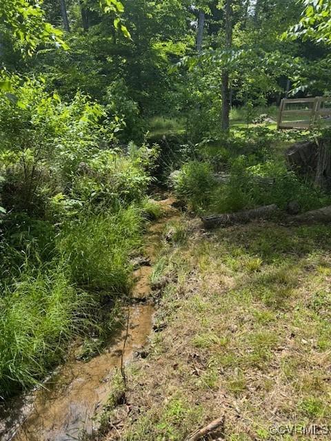 1629 Olmstead Dr, Powhatan, VA 23139 - view of nature