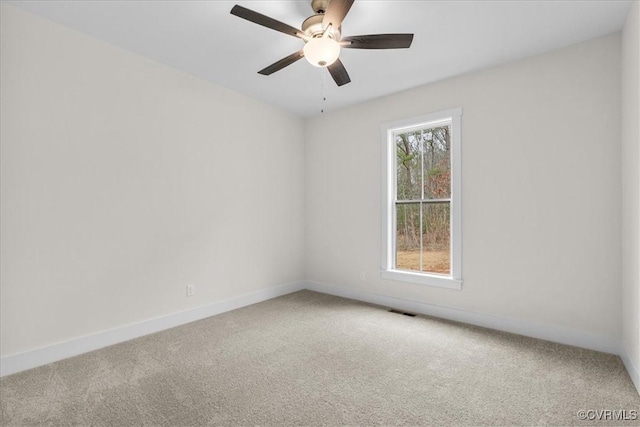 20 Moseley Dr, Ebony, VA 23845 - photo 27