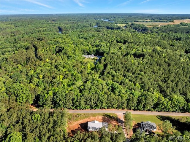 20 Moseley Dr, Ebony, VA 23845 - photo 34