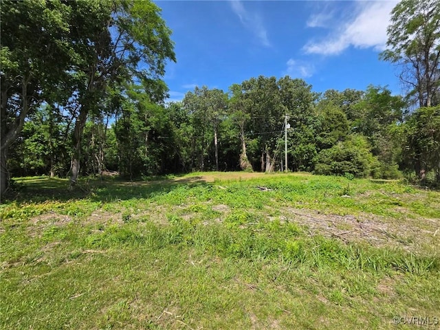 00 Clifton Ln, Little Plymouth, VA 23091 - photo 10