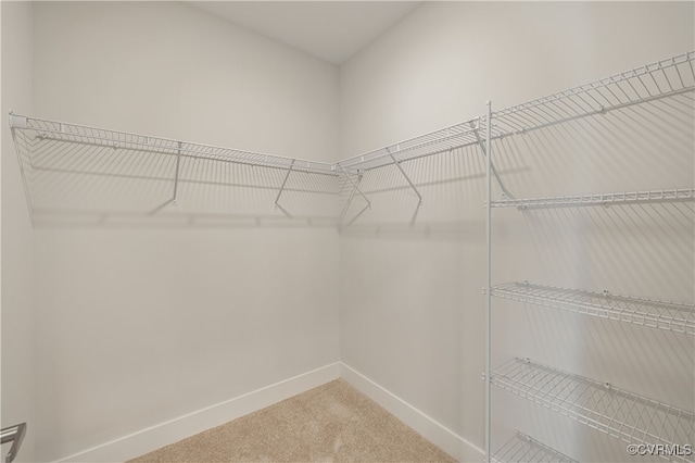 10530 Stony Bluff Dr Unit 305, Ashland, VA 23005 - spacious closet featuring carpet