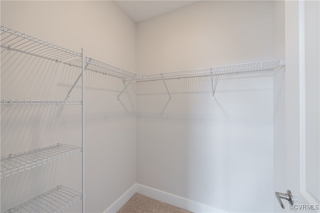 10530 Stony Bluff Dr Unit 305, Ashland, VA 23005 - spacious closet featuring carpet