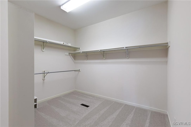 8831 Whistling Swan Rd, Chesterfield, VA 23838 - walk in closet with carpet