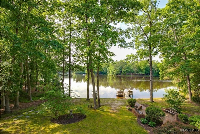 8831 Whistling Swan Rd, Chesterfield, VA 23838 - water view featuring a boat dock