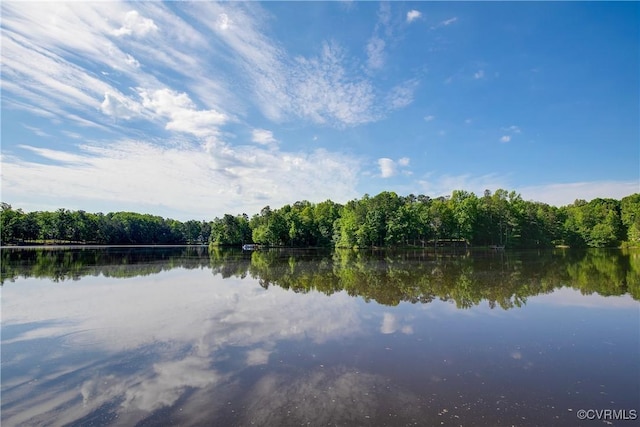 8831 Whistling Swan Rd, Chesterfield, VA 23838 - water view featuring a heavily wooded area