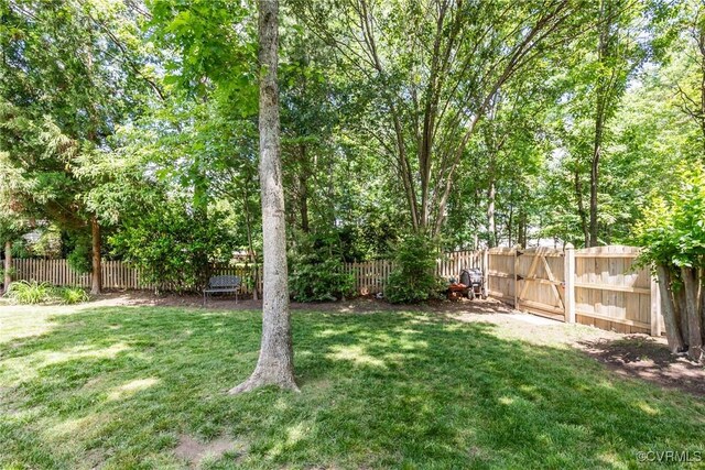 12109 Jamieson Pl, Henrico, VA 23059 - view of yard