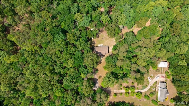 17063 Moores Mill Rd, Ruther Glen, VA 22546 - view of property location