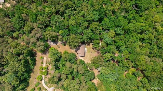 17063 Moores Mill Rd, Ruther Glen, VA 22546 - aerial view of property's location