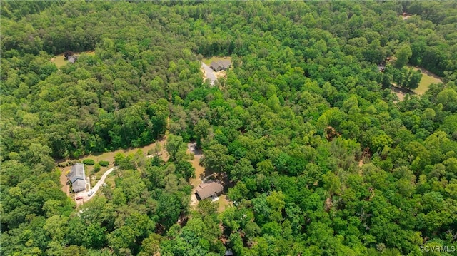 17063 Moores Mill Rd, Ruther Glen, VA 22546 - aerial overview of property's location with a heavily wooded area