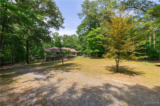 17063 Moores Mill Rd, Ruther Glen, VA 22546 - view of yard