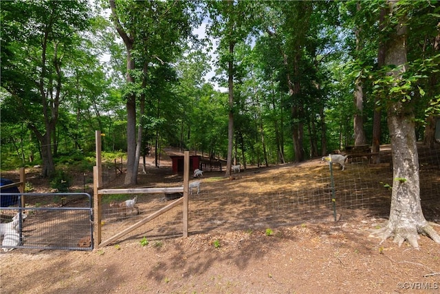 17063 Moores Mill Rd, Ruther Glen, VA 22546 - view of yard with a gate