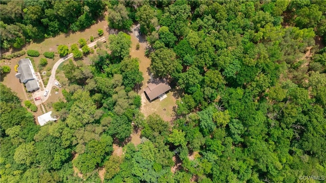 17063 Moores Mill Rd, Ruther Glen, VA 22546 - aerial view of property and surrounding area