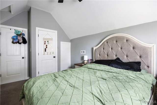 317 Cedar Ln, Hopewell, VA 23860 - bedroom with carpet floors and lofted ceiling
