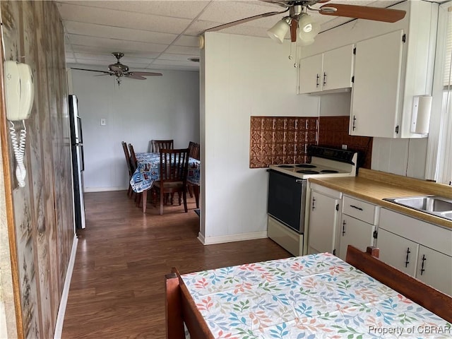 175 Riverview Ave, Water View, VA 23180 - kitchen featuring electric stove, a ceiling fan, a sink, baseboards, and freestanding refrigerator