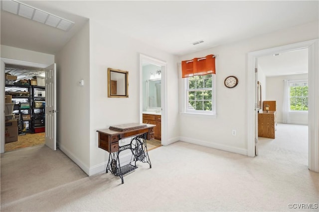 14109 Rigney Dr, Midlothian, VA 23113 - hallway with light carpet, healthy amount of natural light, and baseboards