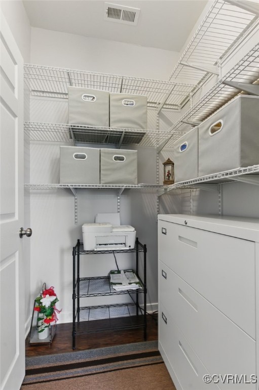 13524 Thomaswoods Ln, Ashland, VA 23005 - view of spacious closet