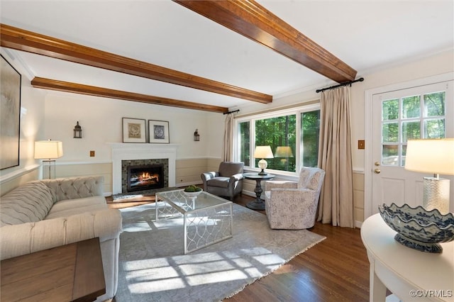 living room featuring healthy amount of natural light, beamed ceiling, dark wood-style flooring, wainscoting, and a lit fireplace