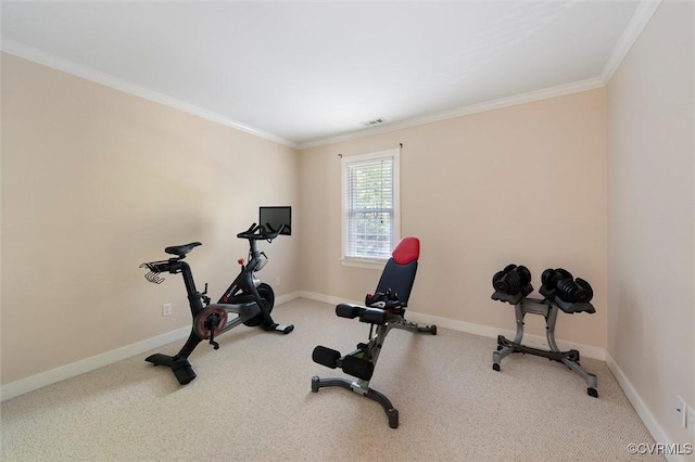 workout area featuring ornamental molding, baseboards, and carpet floors