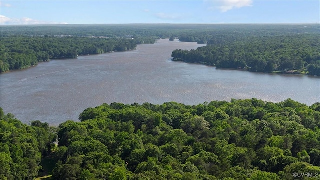 aerial view of a forest and a nearby body of water