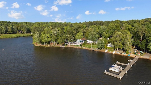 water view with a dock and a forest